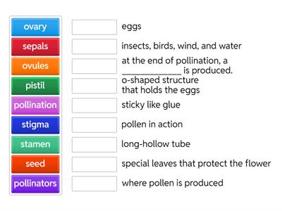Pollination & Flower Parts