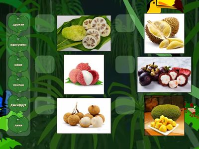 экзотические фрукты 1