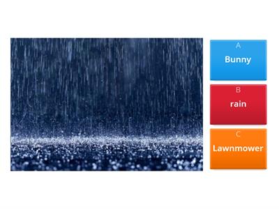 Spring Vocabulary Words 