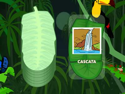 Cerca i Gormiti! /k/ in posizione iniziale - Pittogrammi: ARASAAC