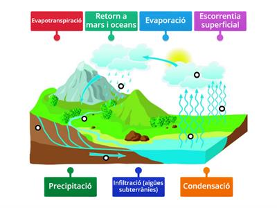 EL CICLE DE L'AIGUA