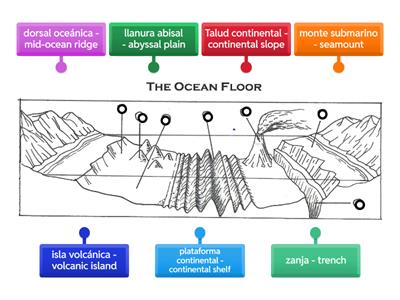 Spanish - Ocean Floor Diagram