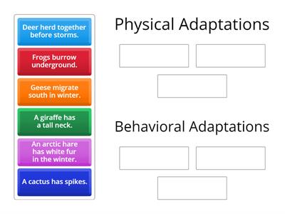 Adaptations