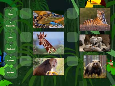 Wild Animals Greenman B Unit 5 - Zeppelin Idiomas