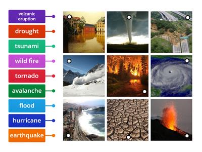 Natural Disaster ID