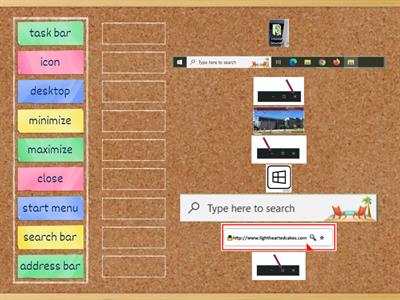 Digital Literacy Lesson 5 Vocabulary