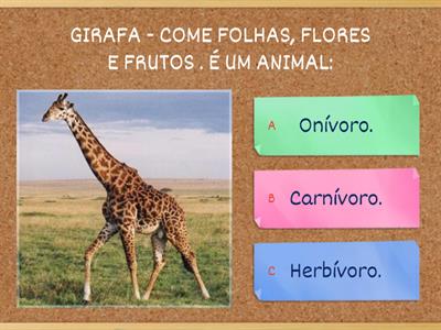 JOGO -  ALIMENTAÇÃO DOS ANIMAIS 