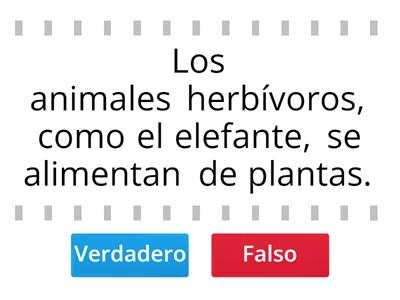 LOS ANIMALES