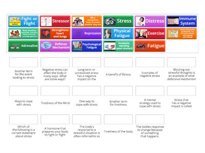 Stress Management (6th Grade)