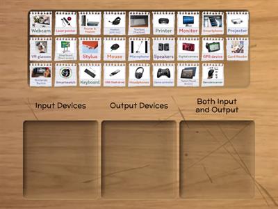 Input and Output Devices (24-25)