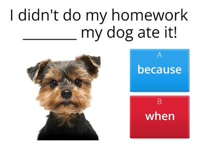 Subordinating Conjunctions