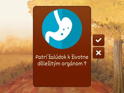 Opakovanie - ľudské telo