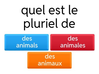quel est le pluriel cm2