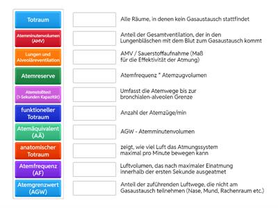 Dynamische Ventilationsgrößen 