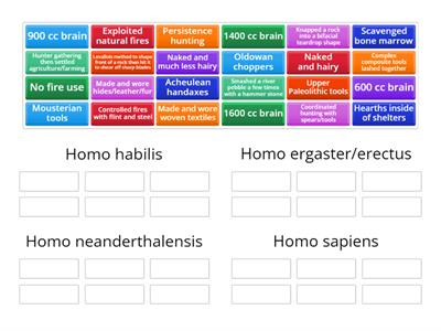 Hominin Cultural Evolution