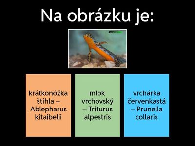 zoológia E-poznávačka