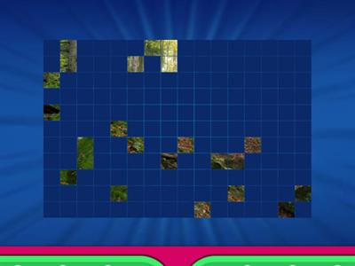 Geographical Features