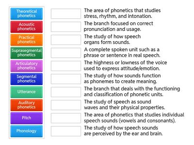Match Up: Branches of Phonetics