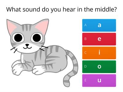  Short Vowel Sounds game quiz