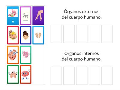 ACTIVIDAD 5.3. LA PINTORA/EL CUERPO HUMANO/Educación Cultural y Artística