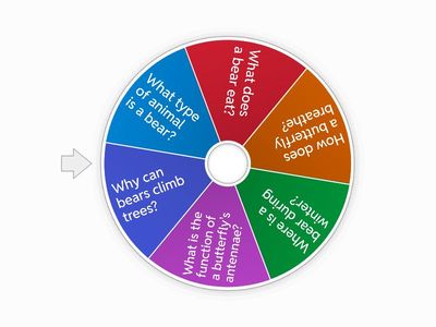 cлучайное колесо