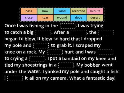 Homograph Cloze Activity