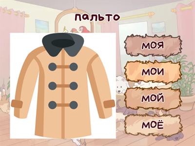 Одежда. Мой/моя/моё/мои