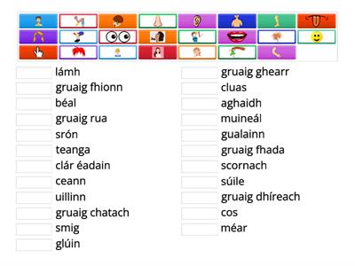 Mé Féin Vocabulary 