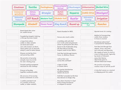 Cotton, Cattle, and Railroad Vocab