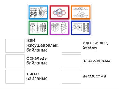 Сәйкестендіру