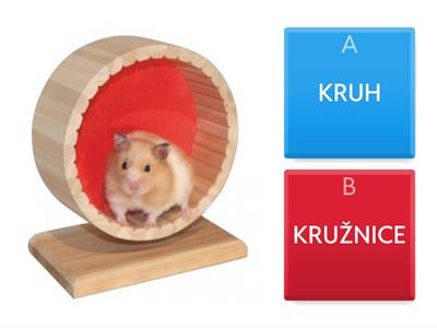 Kruh vs kružnice