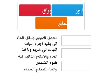 اجزاء النبات 