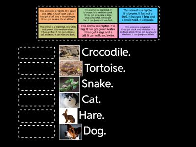 Animals: Abilities and Descriptions
