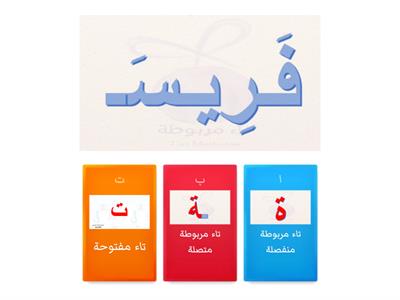  التاء  المربوطة