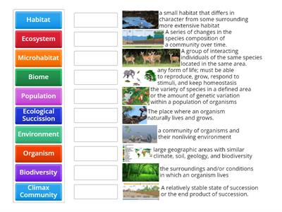 Ecosystems and Environments