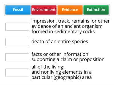 Fossils and Environments 