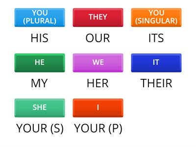 POSSESSIVES ADJECTIVES (EIA1-U1)