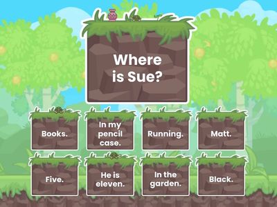 Starters Lesson 7 - Wh Questions