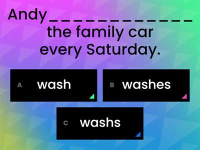  Present Simple Quiz - Affirmative and Negative