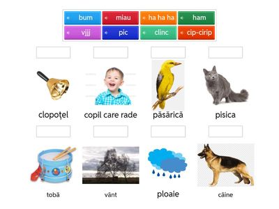 Potriveşte imaginile cu sunetele