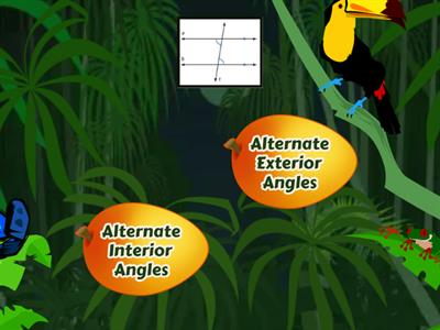 Transversals: Angles & Parallel Lines AMSM2C5D4