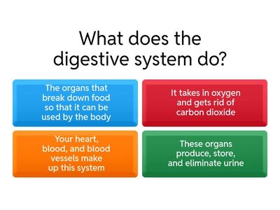 Digestive System Quiz