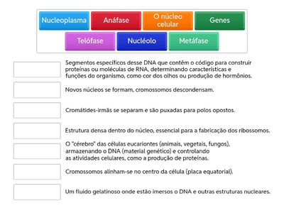 CIÊNCIAS - 9º ANO - 3º Trimestre