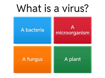 Understanding Viruses