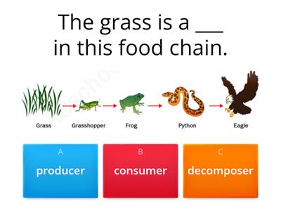 Food Chains