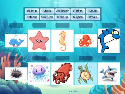 ANIMAL SEA 2025 BY FRACS