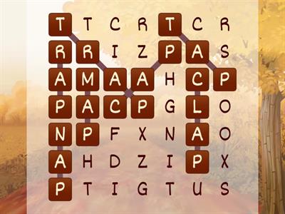 Wordsearch -ap