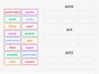 DRACO Adjectifs possessifs - membres de la famille