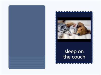 NEF conditional + future time clauses 