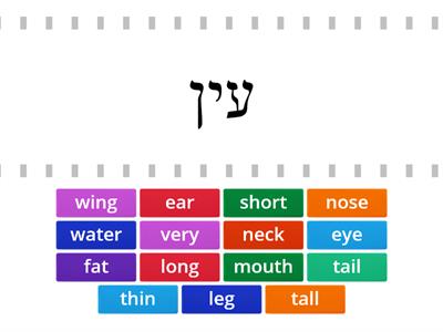 bodypartsandmiscCl1U3english hebrew